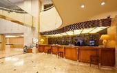 Туры в отель ANA Holiday Inn Tokyo Bay