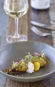 Туры в отель Yarra Valley Lodge
