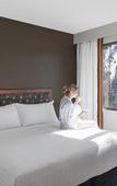 Туры в отель Yarra Valley Lodge