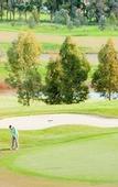 Туры в отель Yarra Valley Lodge