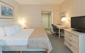 Туры в отель Holiday Inn Rosario