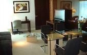 Туры в отель Holiday Inn Rosario