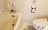 Туры в отель APA Hotel &  Resort Tokyo Bay Makuhari