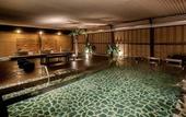 Туры в отель APA Hotel &  Resort Tokyo Bay Makuhari