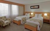 Туры в отель Holiday Inn Sao Paulo Parque Anhembi by IHG