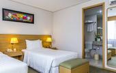 Туры в отель Holiday Inn Sao Paulo Parque Anhembi by IHG