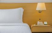 Туры в отель Holiday Inn Sao Paulo Parque Anhembi by IHG