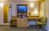 Туры в отель Holiday Inn Sao Paulo Parque Anhembi by IHG