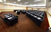 Туры в отель Holiday Inn Sao Paulo Parque Anhembi by IHG