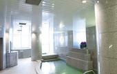 Туры в отель HOTEL MYSTAYS PREMIER Sapporo Park