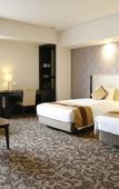 Туры в отель Mercure Sapporo
