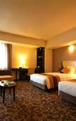 Туры в отель Mercure Sapporo
