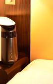 Туры в отель Mercure Sapporo