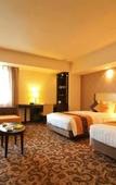 Туры в отель Mercure Sapporo