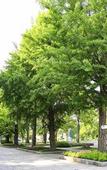 Туры в отель Mercure Sapporo