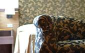 Туры в отель Poli Hotel