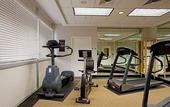 Туры в отель Holiday Inn Santa Monica