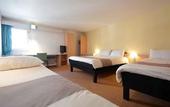 Туры в отель ibis Chateau de Fontainebleau