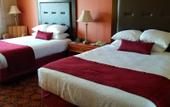 Туры в отель Best Western The Inn at Sharon/Foxboro