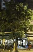 Туры в отель The Singular Santiago