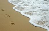 Туры в отель Hotel Indigo Albufeira by IHG
