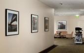 Туры в отель Rydges North Sydney
