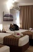 Туры в отель Reef Palms Motel