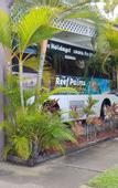 Туры в отель Reef Palms Motel