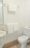 Туры в отель Reef Palms Motel