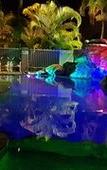 Туры в отель Reef Palms Motel