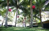 Туры в отель TIA Wellness Resort - Spa Inclusive