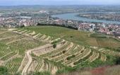 Туры в отель Novotel Valence Sud