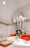 Туры в отель Parkhotel Diani