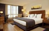 Туры в отель Holiday Inn Sisli