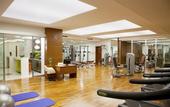 Туры в отель Holiday Inn Sisli