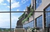 Туры в отель PULSE GRANDE Hotel