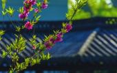 Туры в отель West Lake State Guesthouse