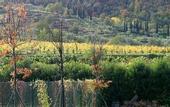 Туры в отель Villa di Piazzano - Small Luxury Hotel of the World