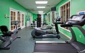 Туры в отель Holiday Inn South Beach