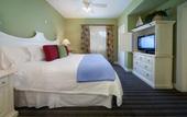 Туры в отель Holiday Inn South Beach