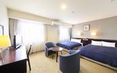 Туры в отель Quintessa Hotel Ogaki