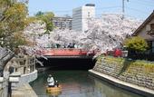 Туры в отель Quintessa Hotel Ogaki