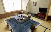 Туры в отель Hida Hotel Plaza