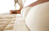 Туры в отель Hida Hotel Plaza