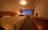 Туры в отель Hida Hotel Plaza