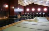 Туры в отель Hida Hotel Plaza