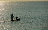 Туры в отель Avani Pemba Beach Hotel