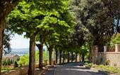 Туры в отель Borgo Dei Conti Resort Relais & Chateaux
