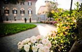 Туры в отель Borgo Dei Conti Resort Relais & Chateaux