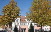 Туры в отель Platan Hotel